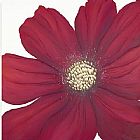 Cranberry Blush